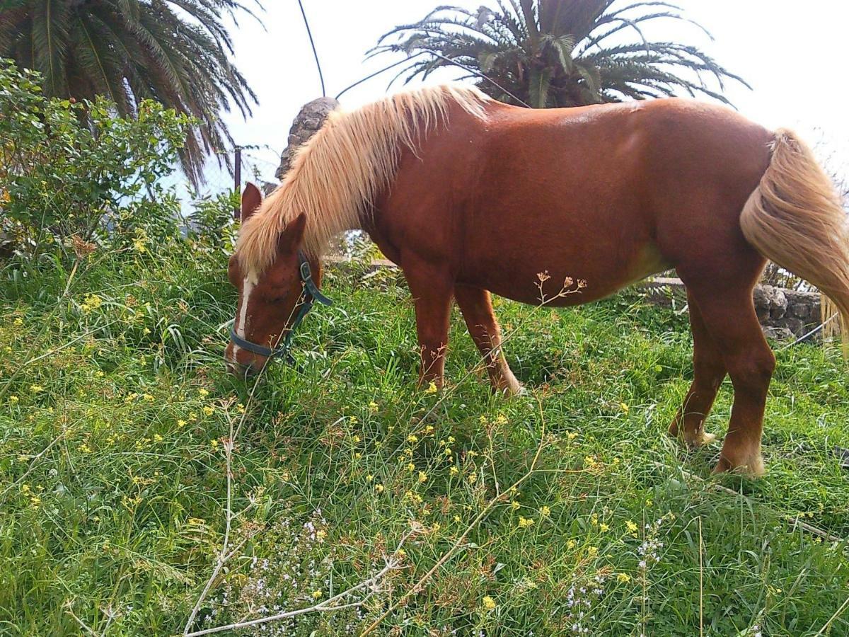 Azienda Agrituristica Le Terre Di San Leonardo Cetraro Kültér fotó