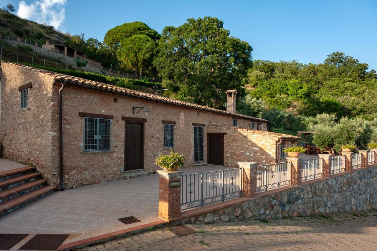 Azienda Agrituristica Le Terre Di San Leonardo Cetraro Kültér fotó
